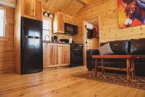 Deluxe Cabin | Living area