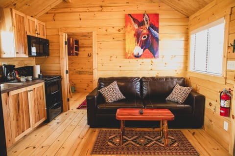 Deluxe Cabin | Living area