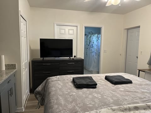 Basic Studio, 1 Queen Bed, Non Smoking, Refrigerator & Microwave (Private Entrance) | Down comforters, desk, laptop workspace, iron/ironing board