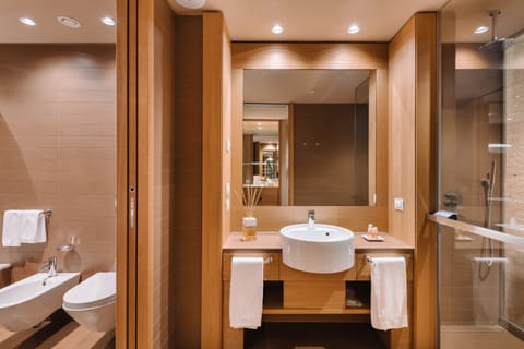 Rainfall showerhead, free toiletries, hair dryer, bathrobes