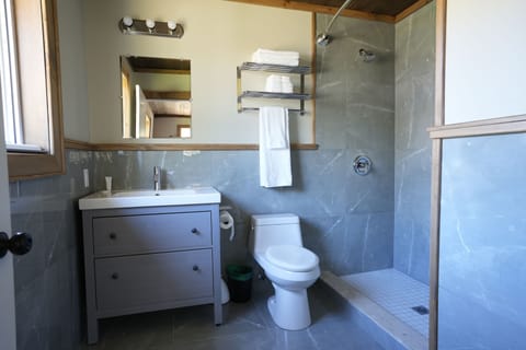 Lodge Room #7 (1 King Bed) | Bathroom | Shower, free toiletries, towels, soap