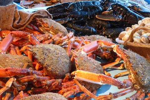 Region [summer] (&gt;5 km)