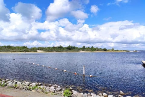 Region [summer] (&gt;5 km)