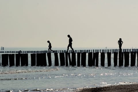 Immediate Surroundings [summer] (&lt;1 km)