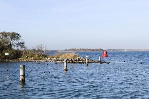 Region [summer] (&gt;5 km)