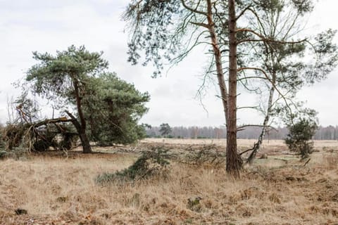 Surroundings [summer] (1-5 km)