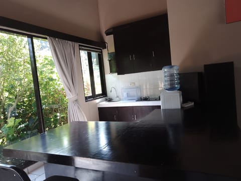 Grand Villa | Private kitchen | Fridge, microwave, cookware/dishes/utensils, cleaning supplies