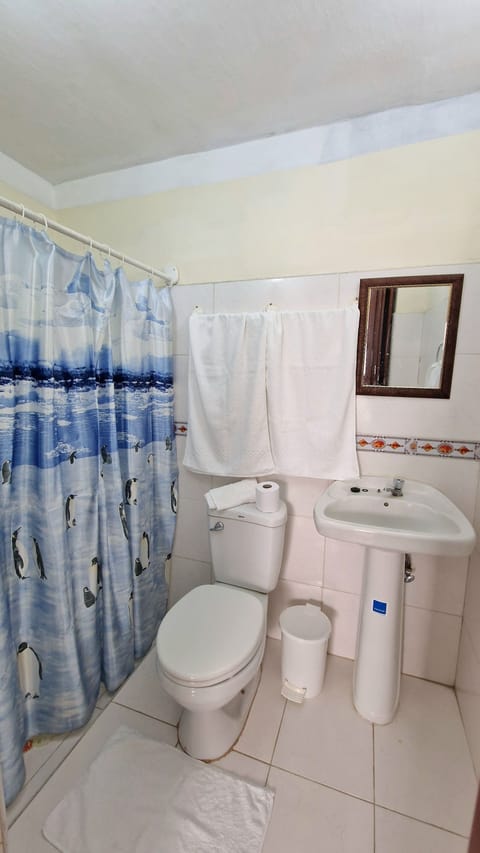 Exclusive Room | Bathroom | Shower, rainfall showerhead, hair dryer, towels