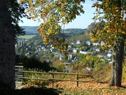 Region [summer] (>5 km)