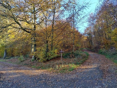 Region [summer] (>5 km)