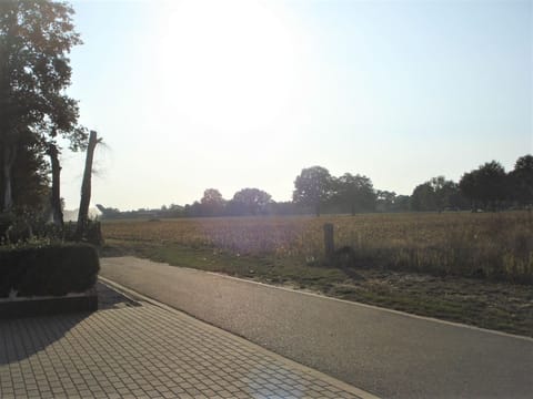 Immediate Surroundings [summer] (<1 km)