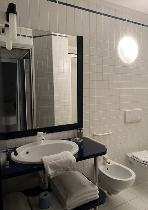 Classic Suite | Bathroom | Shower, hair dryer, bidet, towels