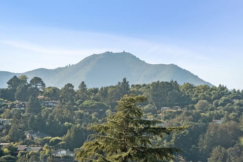 Milly Valley has so many places to hike, bike, and enjoy the outdoors!