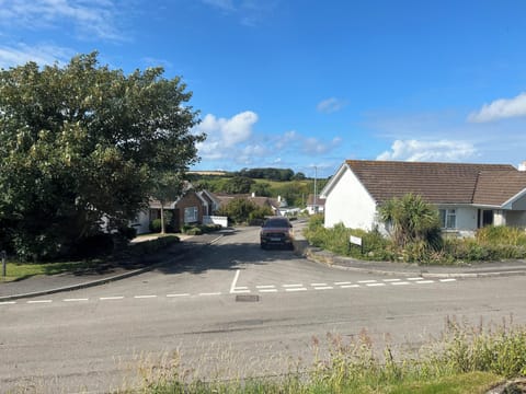 View of Deer Park from front window