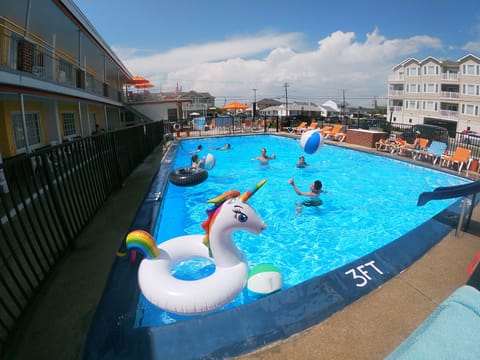 Seasonal outdoor pool, sun loungers