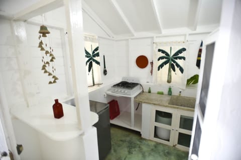 Classic Cabin | Private kitchen