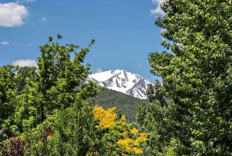 peak- a - boo views of Mt Sopris from the yard