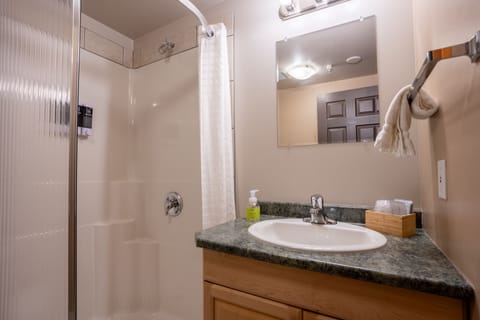 Queen Room | Bathroom | Shower, free toiletries, hair dryer, towels