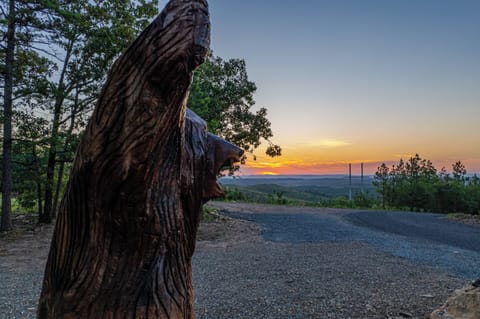 Welcome to Tipsy Bear, a pet-friendly, 3,500 sq ft cabin with exceptional privacy, seclusion, gorgeous mountain views & adjacent to ATV Trails!