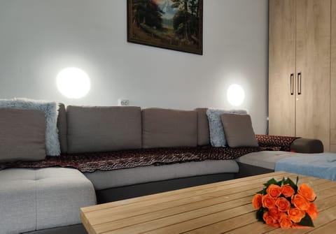 Family Apartment | Living room | Flat-screen TV