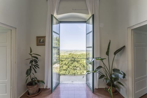 Plant, Property, Houseplant, Building, Wood, Interior Design, Floor, Flooring, Wall, Shade