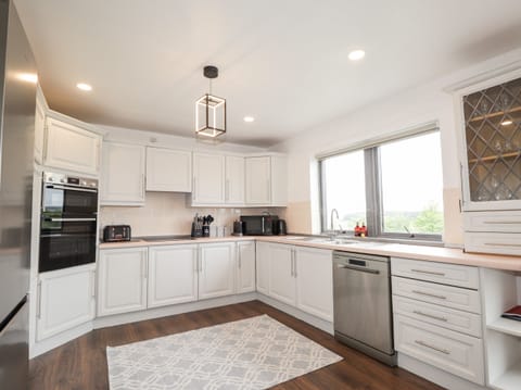 Fridge, dishwasher, electric kettle, toaster