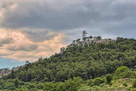 Apartment | Miscellaneous