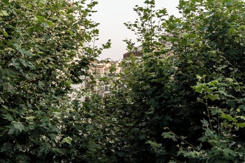 Classic Apartment | View from room