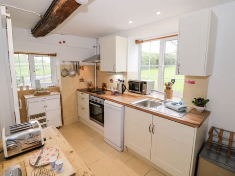 Fridge, dishwasher, electric kettle, toaster