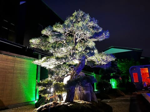 Japanese garden