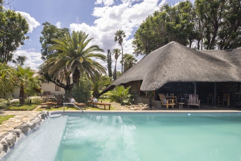 Outdoor pool, pool umbrellas, sun loungers