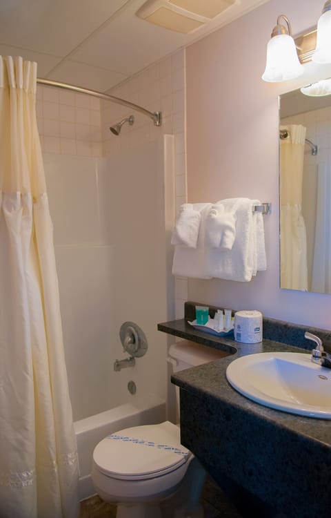 Combined shower/tub, free toiletries, hair dryer, towels