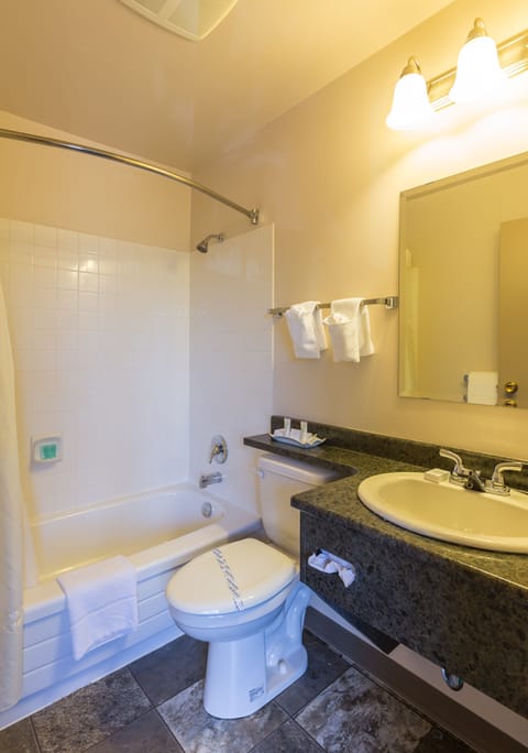 Combined shower/tub, free toiletries, hair dryer, towels