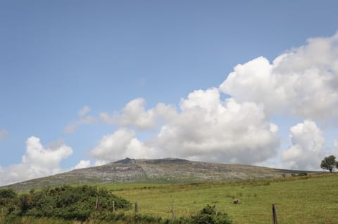 Cottage | Miscellaneous