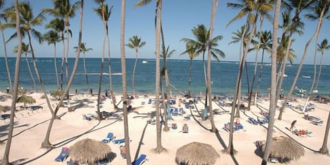 On the beach, white sand, 7 beach bars