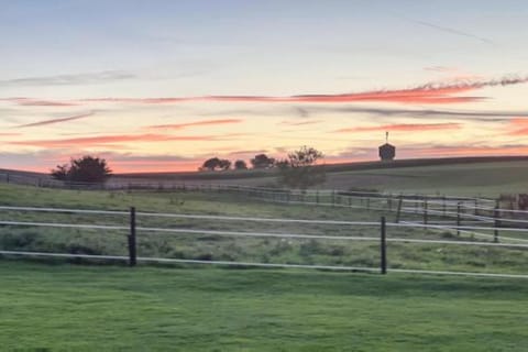 Region [summer] (>5 km)