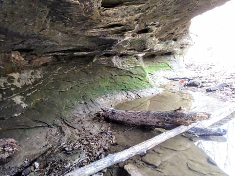 Half mile hike to the bottoms