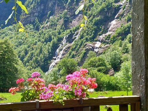 Room, 1 Bedroom, Balcony, Mountain View | Garden