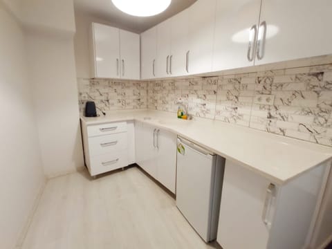 City Apartment | Private kitchen | Fridge, stovetop, cleaning supplies, paper towels