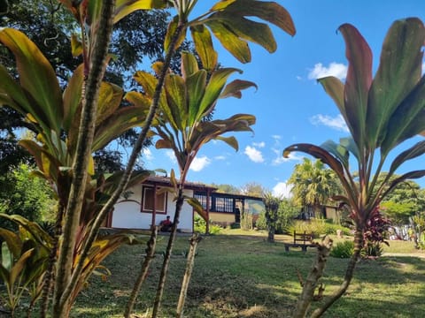 Classic Chalet, 1 Bedroom | View from room