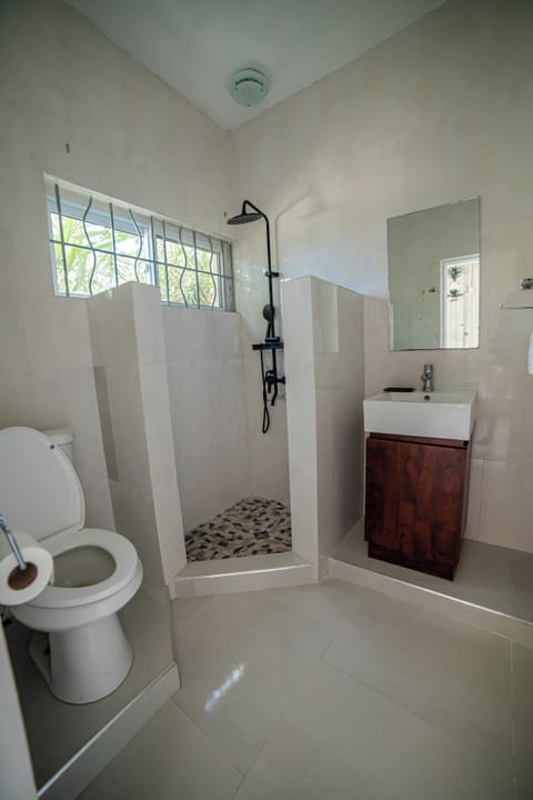 Deluxe Triple Room | Bathroom | Shower, rainfall showerhead, hair dryer, towels