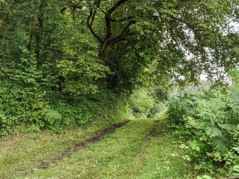 Surrounding area | The Cottage, Lydney