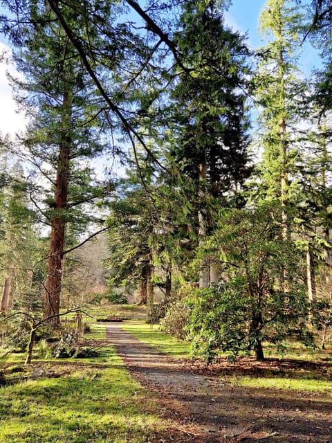Benmore Botanical Gardens, near Dunoon.