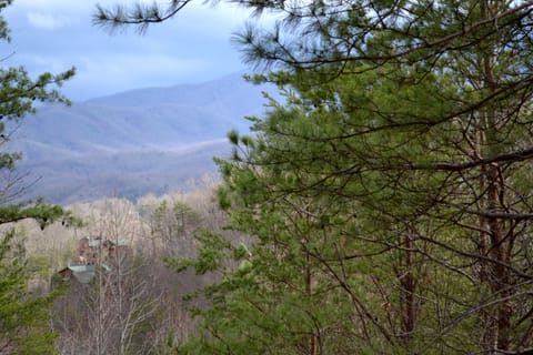 Sweetheart Cabin, 1 Bedroom, Jetted Heart-shaped Tub, Outdoor Hot Tub, Mountain View | Exterior