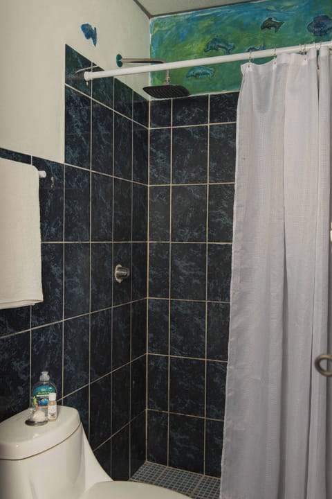 Dolphin Room | Bathroom | Shower, rainfall showerhead, towels