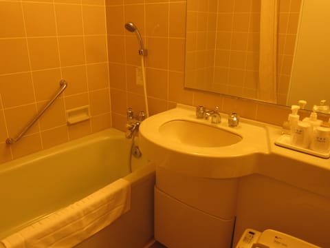 Combined shower/tub, free toiletries, hair dryer, slippers