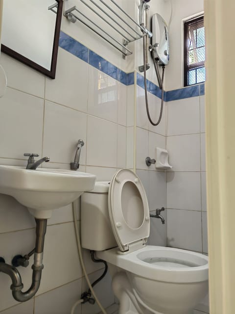Deluxe Suite | Bathroom | Shower, free toiletries, bidet, towels