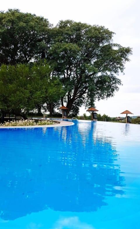 Outdoor pool, pool umbrellas, sun loungers