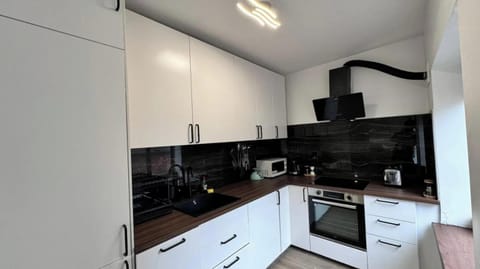 Basic Apartment, Multiple Beds | Private kitchenette | Fridge, microwave, oven, stovetop