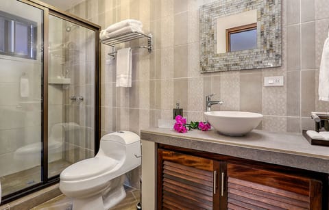 King Deluxe with Terrace | Bathroom | Free toiletries, hair dryer, towels